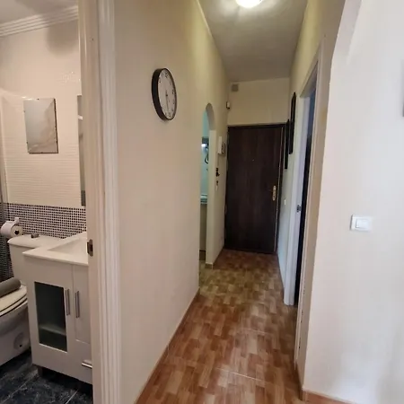 Sunny Alamos Apartment